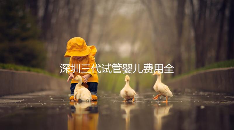 深圳三代試管嬰兒費用全揭秘,助你輕松掌握預算!