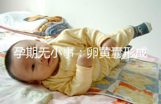 孕期無小事：卵黃囊形成到胎芽出現(xiàn)時(shí)間早了解早放心