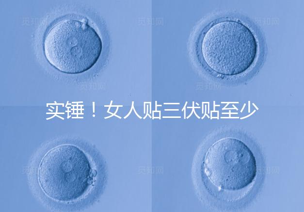 實錘！女人貼三伏貼至少有這6點好處，提高免疫力是其一