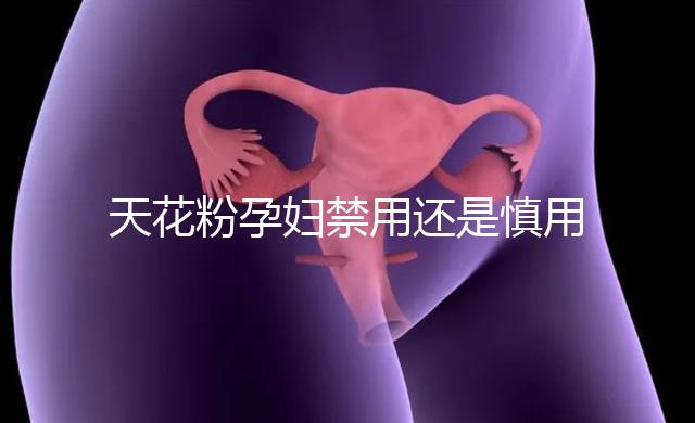 天花粉孕婦禁用還是慎用好看這，5個月不小心吃了有影響