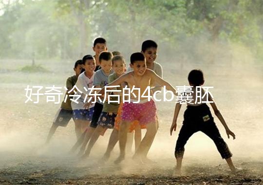 好奇冷凍后的4cb囊胚移植幾天著床看這,第七天別還不敢測(cè)