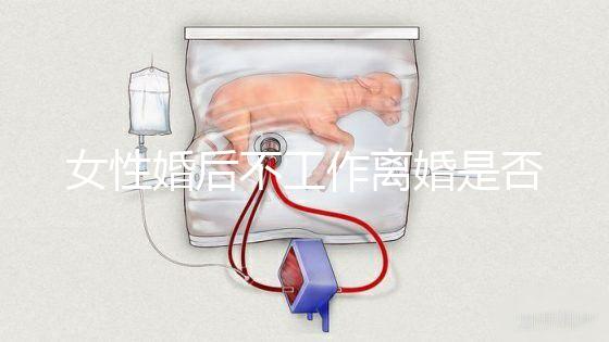 女性婚后不工作離婚是否還錢有規定,如何處理需要早知道