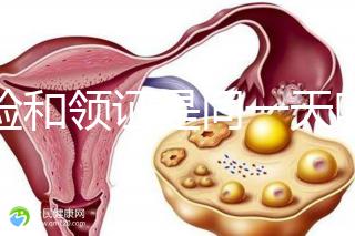 婚檢和領(lǐng)證是同一天嗎?聽聽過來人的建議