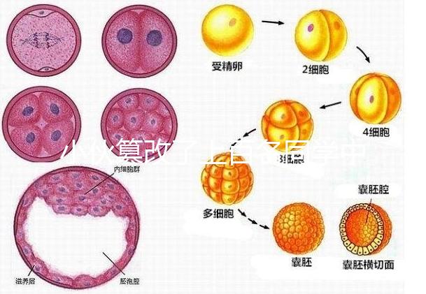 小伙篡改了上百名同學中考志愿，這些預防知識多么重要！