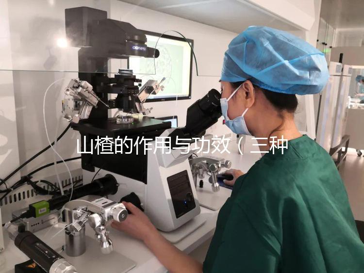 山楂的作用與功效(三種人不宜喝山楂水)