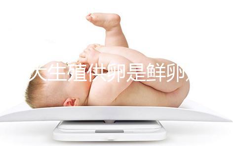 山大生殖供卵是鮮卵還是凍卵分情況,別還不清楚質(zhì)量如何