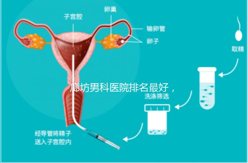 廊坊男科醫院排名最好，醫院出爐！廣陽這些機構可以排隊