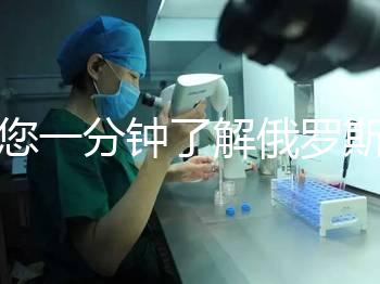 帶您一分鐘了解俄羅斯試管中心的費用明細，快速收集！