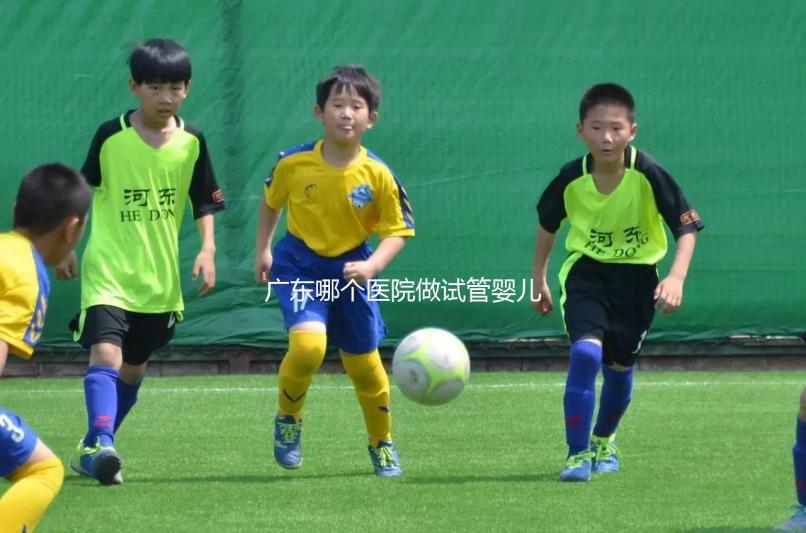 廣東哪個醫(yī)院做試管嬰兒技術(shù)好，成功率高，我今年45歲，今年在浙江做了兩次都不成功，都是8細胞一級。