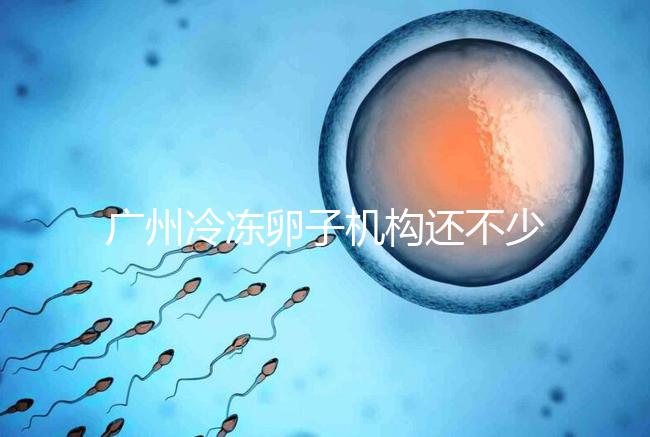 廣州冷凍卵子機(jī)構(gòu)還不少，但國(guó)內(nèi)凍卵這些條件你達(dá)成了嗎？