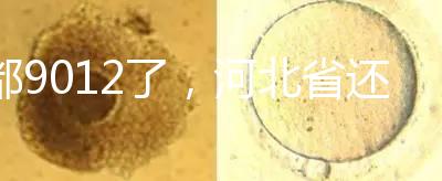 都9012了，河北省還沒三代試管嬰兒醫(yī)院，看看姐妹怎么說(shuō)