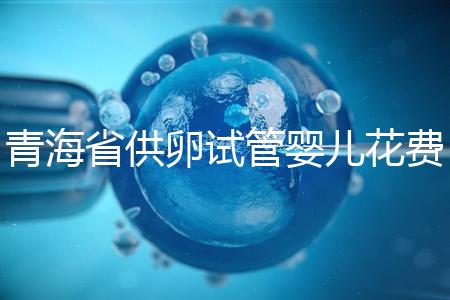 青海省供卵試管嬰兒花費(fèi)明細(xì)表一覽，一次成功助孕費(fèi)用最低