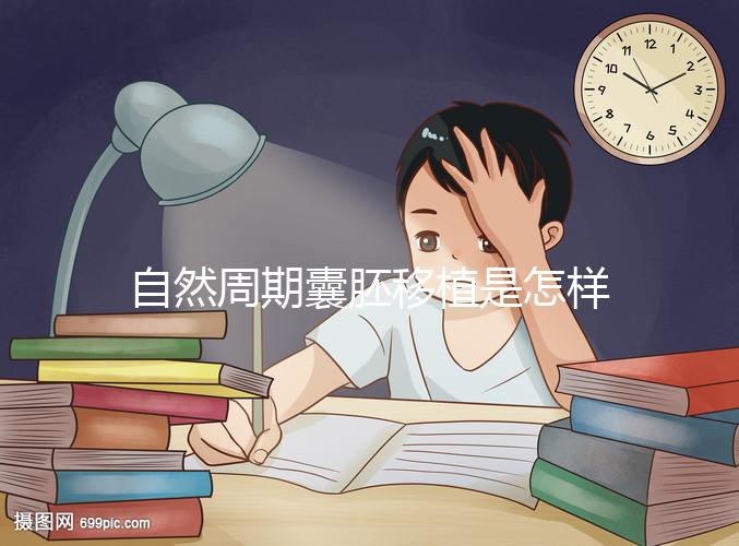 自然周期囊胚移植是怎樣的?5個步驟囊括所有流程