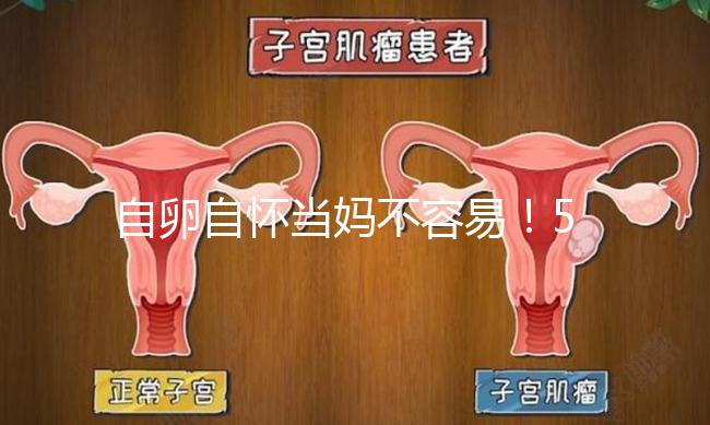 自卵自懷當媽不容易！53歲做試管嬰兒這個案例真勵志