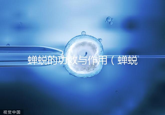 蟬蛻的功效與作用（蟬蛻的壯陽(yáng)功效）