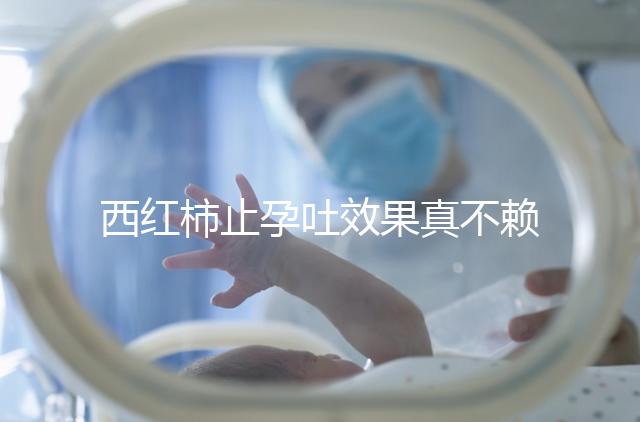 西紅柿止孕吐效果真不賴，選小的生吃或加雞蛋打湯都行