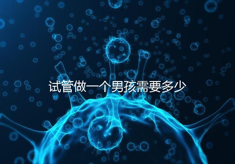 試管做一個(gè)男孩需要多少錢呢