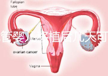 試管嬰兒移植后幾天可以測懷孕？