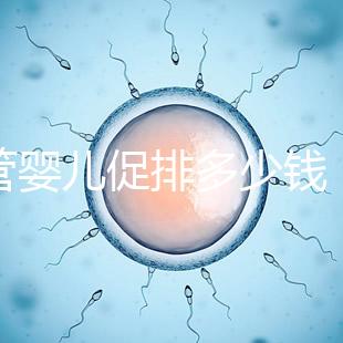試管嬰兒促排多少錢(試管和促排哪個傷害小)