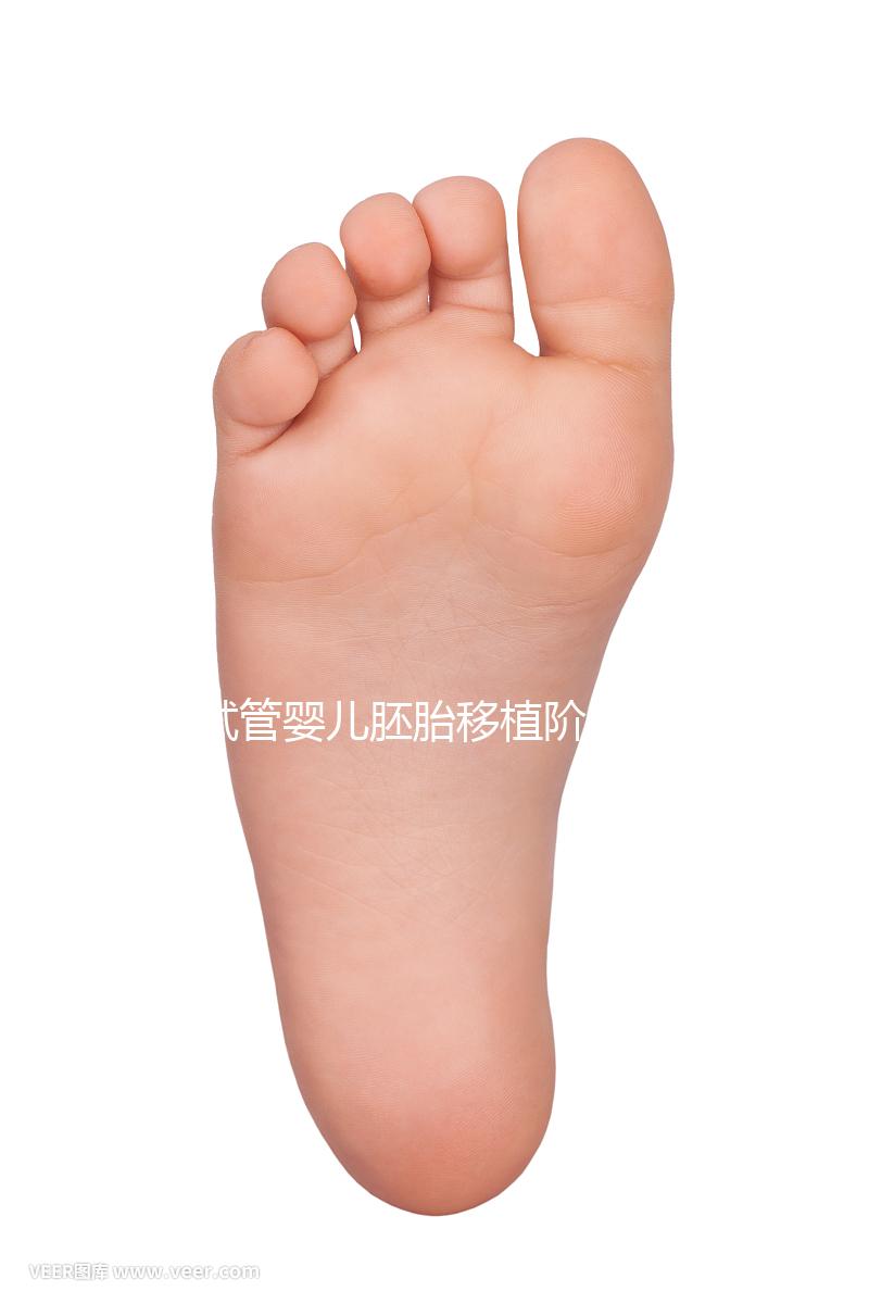 試管嬰兒胚胎移植階段需要具備哪些條件？