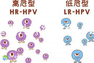 試管嬰兒詳細過程（試管嬰兒詳細過程小說）