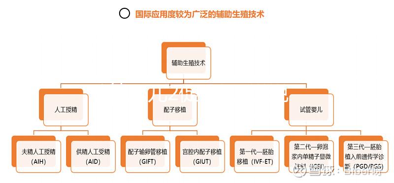 試管嬰兒2促3移，說說5點我的成功懷孕經(jīng)驗