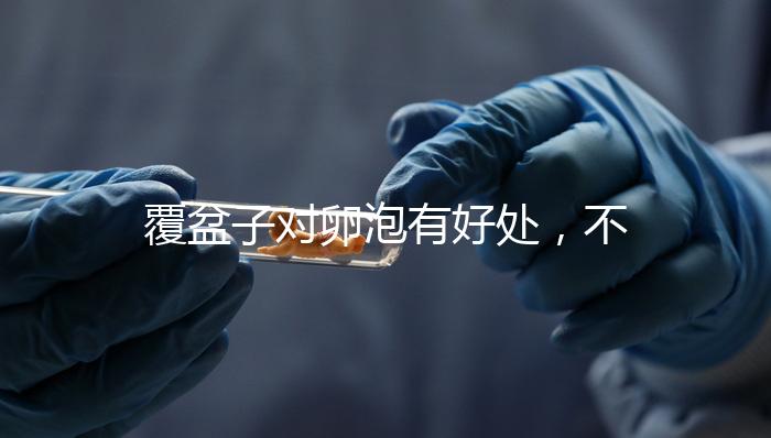 覆盆子對(duì)卵泡有好處，不要錯(cuò)過(guò)維持卵巢早衰，軟化宮頸