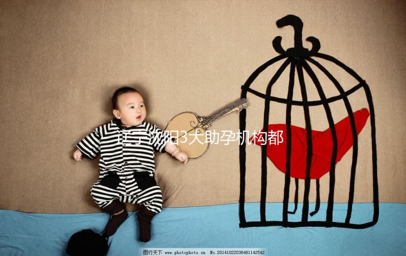 遼寧沈陽3大助孕機構都在這,來看看你知道幾家