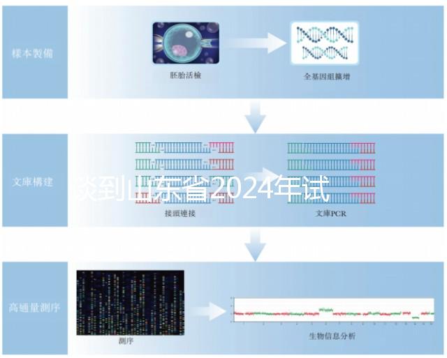 談到山東省2024年試管嬰兒的費用，錢主要花在這些地方