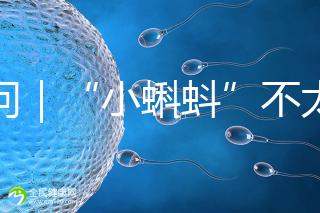 追問｜“小蝌蚪”不太給力，一代二代試管嬰兒技術哪個強？