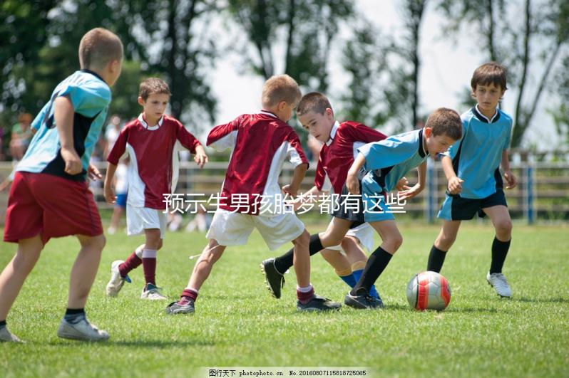 預(yù)示生男孩胎夢都有這些，孕早期就可以對照著看看