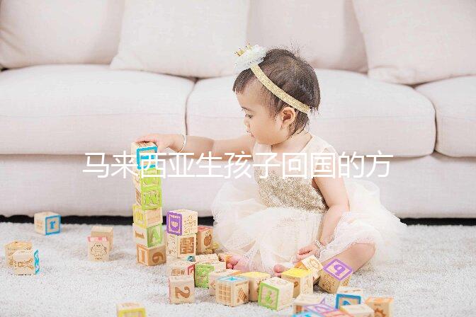 馬來西亞生孩子回國的方法可以通過準備材料來解釋