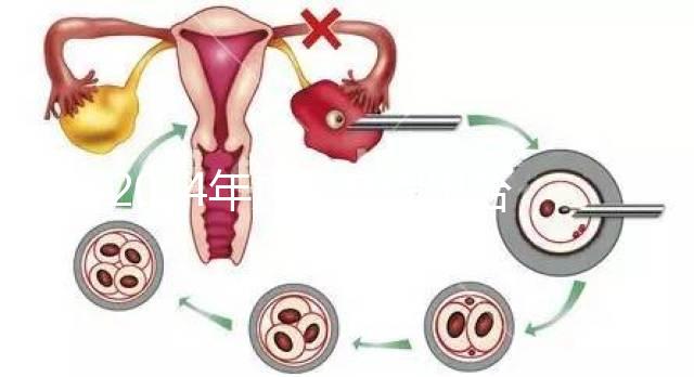2024年廣東產假出臺新規定多少天？178天只發放98天的補貼是違法的