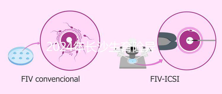 2024年長沙生育險異地報銷備案流程，附比例介紹