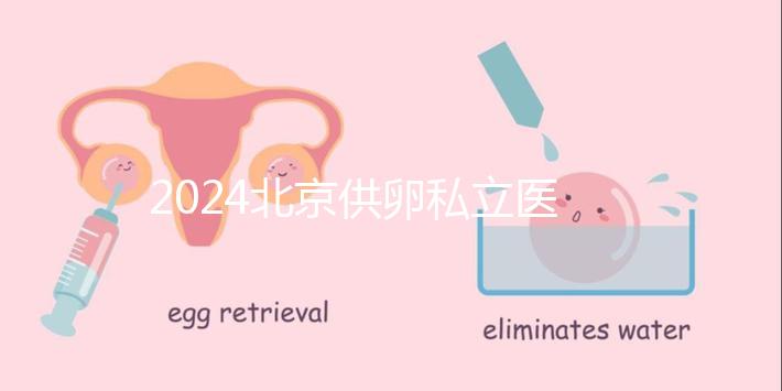 2024北京供卵私立醫(yī)院排行一覽,這三家機構(gòu)竟在名單中