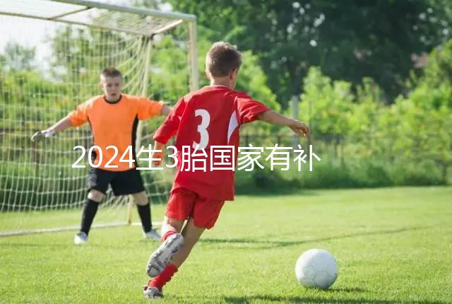 2024生3胎國(guó)家有補(bǔ)貼多少錢、在哪領(lǐng)全囊括，最高可達(dá)...