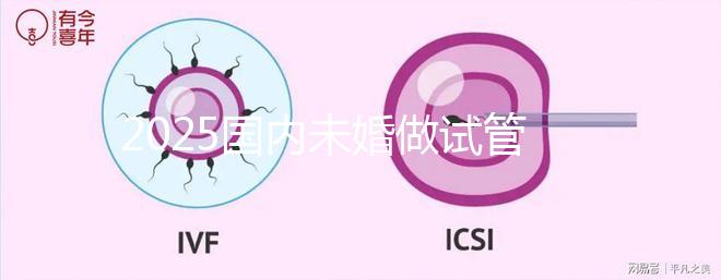 2025國(guó)內(nèi)未婚做試管嬰兒的機(jī)構(gòu)都是哪些？