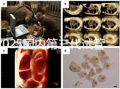 2025國內第三代試管嬰兒醫院排名前十強公布（附地址）