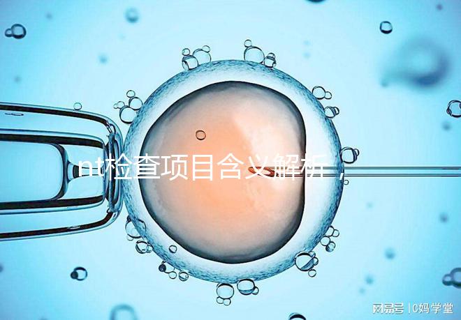 nt檢查項目含義解析,每個內(nèi)容都相當(dāng)重要