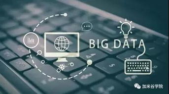 大數(shù)據(jù) 驅(qū)動現(xiàn)代產(chǎn)業(yè)變革的核心引擎