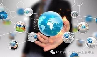 哈市政務服務邁入數(shù)字時代 互聯(lián)網(wǎng)系統(tǒng)實現(xiàn)“一證通辦”